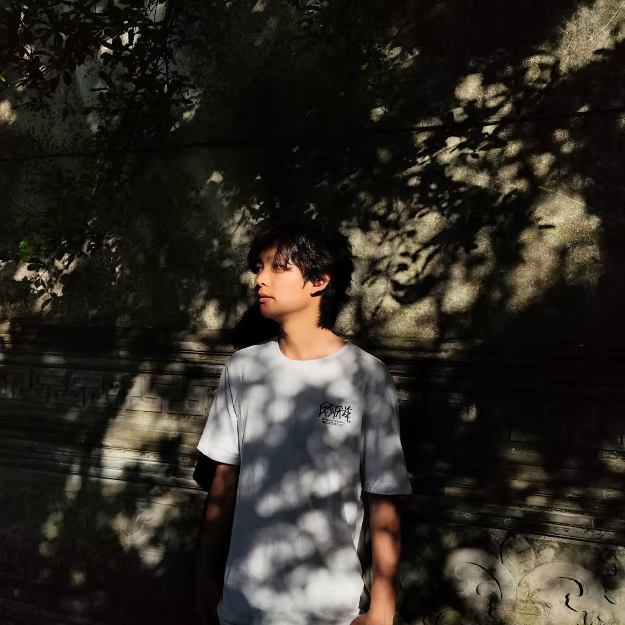 Yapeng Niu (牛雅鹏)